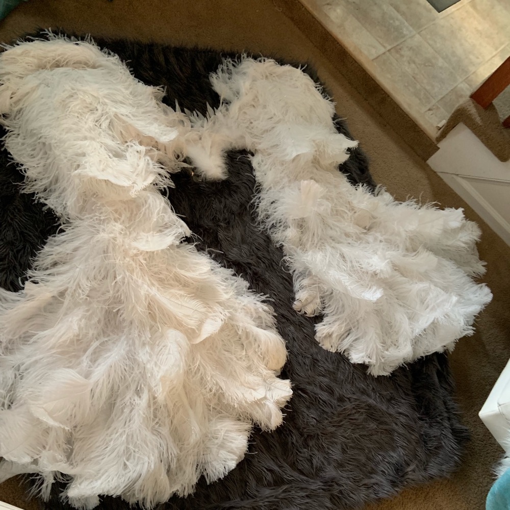 Victoria Secret Ángel Wings